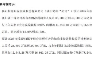 長源東谷2025年凈利預增最高82%，00后海歸碩士李易軒履新副董事長