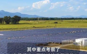 馬斯克團隊被傳密訪中國光伏企業(yè) 晶科能源確認雙方有過接觸交流