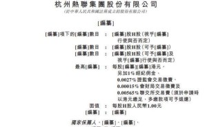 熱聯(lián)集團(tuán)董事長(zhǎng)陸敏：身兼多職履歷豐富 獲多項(xiàng)榮譽(yù)展現(xiàn)專(zhuān)業(yè)實(shí)力