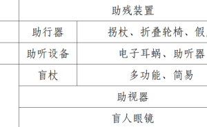 馬年新春暢行江城！武漢無(wú)障礙出行全攻略，飛機(jī)火車地鐵景區(qū)一路無(wú)憂