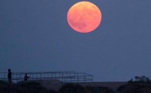 馬斯克欲在月球建電磁彈射裝置發(fā)射AI衛(wèi)星,現(xiàn)實(shí)難度與爭(zhēng)議并存