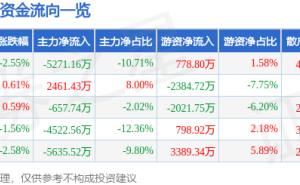 石頭科技3月9日股價(jià)下跌2.55% 主力資金凈流出超五千萬 游資散戶有進(jìn)有出