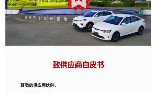 新能源車企爆雷后車主眾生相：高合修車難 極越智駕廢 威馬哪吒各有苦