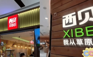 百億富豪接連入局西貝，寒冬中餐飲巨頭憑何吸引資本“逆行”？