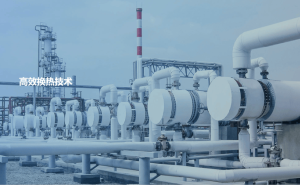 借馬斯克熱度卻“踩雷”！雙良節(jié)能違規(guī)披露合作信息被罰1300萬