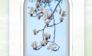 雷軍辭任金山云董事長等職 鄒濤接棒 2025年金山云業(yè)績表現(xiàn)如何？