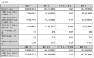 九陽股份2025年業(yè)績承壓營收降7.23% 董事長楊寧寧薪酬升至235萬