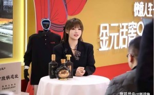 九百年傳承邂逅現(xiàn)代創(chuàng)新，2026春糖會劉伶醉以新姿引領傳統(tǒng)白酒新征程