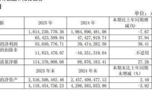 飛樂音響2025年報出爐：營收降7.67% 劉爽接任董事長后凈利增近四成