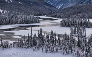 2026阿勒泰親子游新選擇：這6家口碑旅行社如何精準(zhǔn)匹配家庭需求？