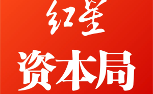 神州數(shù)碼年報(bào)：AI業(yè)務(wù)營收增近五成 現(xiàn)金流惡化 高管變動(dòng)董事長股權(quán)凍結(jié)