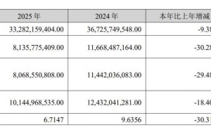邁瑞醫(yī)療2025年業(yè)績(jī)下滑，七旬董事長(zhǎng)李西廷薪酬縮減超六百萬(wàn)