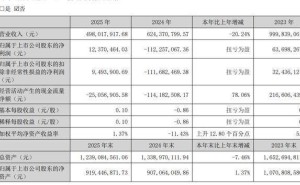 友邦吊頂2025年業(yè)績反轉盈利，總經理胡江120萬薪酬超越董事長時沈祥