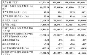 銳石創(chuàng)芯科創(chuàng)板IPO中止：90后董事季飛與董事長同校，履歷豐富