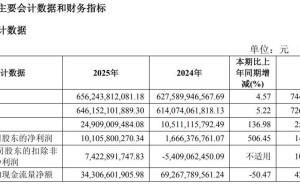 上汽集團(tuán)2025年報(bào)：凈利潤(rùn)大增 自主品牌崛起 董事長(zhǎng)年薪152萬