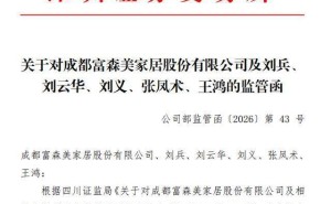 富森美內(nèi)控存缺陷財務核算不規(guī)范，董事長劉兵等五人領警示函