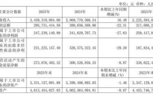丸美生物2025年?duì)I收增長利潤下滑 CFO薪酬反超董事長引關(guān)注