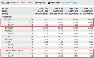 時隔九年營收再降！恒力石化2025年業(yè)績承壓，董事長坦言市場寒意與挑戰(zhàn)