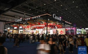 第六屆消博會公眾開放日：前沿精品齊聚，現(xiàn)場人氣爆棚體驗熱潮不斷