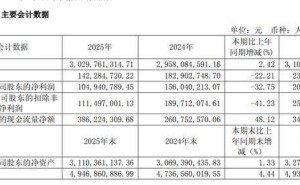 麒盛科技2025年營收微增凈利下滑，黃小衛履新董事長后薪酬減少60萬