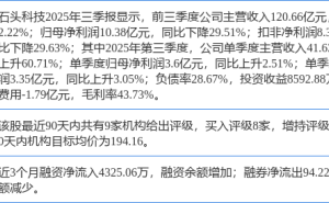 石頭科技股價漲8.03% ，開源證券月前研報看好，中金團隊盈利預測也較準