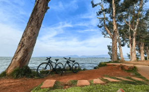 “綠道+”引擎驅動 滇池文旅新篇：品質升級繪就生態人文新畫卷