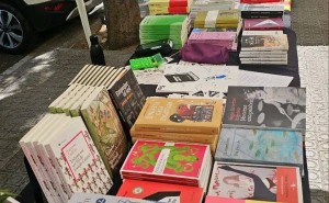 玫瑰邂逅書香：第五屆世界華人作家筆會巴塞羅那浪漫啟幕 共筑文學圣殿