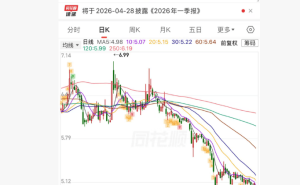 黑芝麻開盤一字跌停 涉嫌信披違規公司及時任董事長遭立案調查